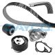 DAYCO Pompa acqua + Kit cinghie dentate per CITROËN,DS,OPEL,PEUGEOT, KBIOWP141