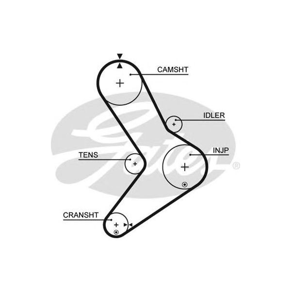 Cinghia distribuzione GATES 5334XS CITROEN FIAT IVECO PEUGEOT RENAULT  TRUCKS SANTANA